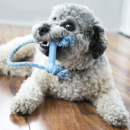 Kong Goodie Bone - Puppy/Xsmall