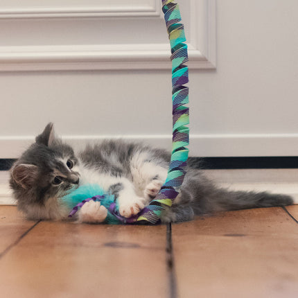 Kong Curlz Wand Teaser Cat Toy