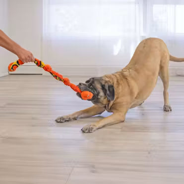Kong Knots Squeaky Snake Toy M/L
