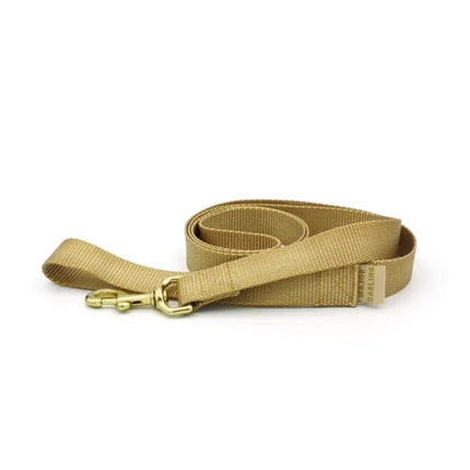 Major Darling Leash  3/4" wide / 5' long - Gold