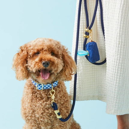 The Foggy Dog Marine Rope Leash - Ocean