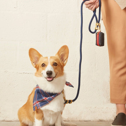 The Foggy Dog Marine Rope Leash - Ocean