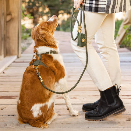 The Foggy Dog Marine Rope Leash - Olive