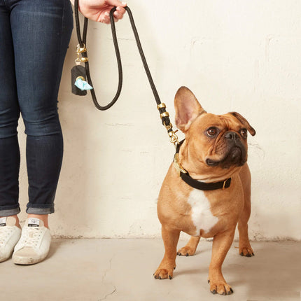 The Foggy Dog Marine Rope Leash - Onyx