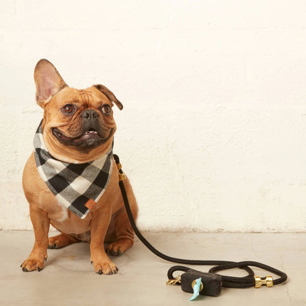 The Foggy Dog Marine Rope Leash - Onyx