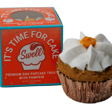 Swell Pumpkin Cupcake