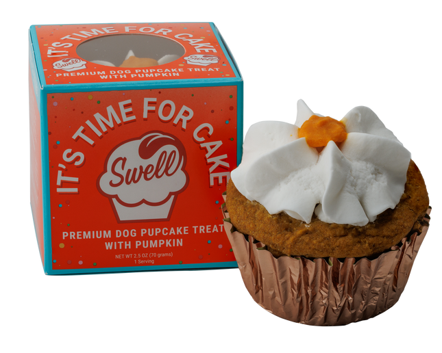 Swell Pumpkin Cupcake