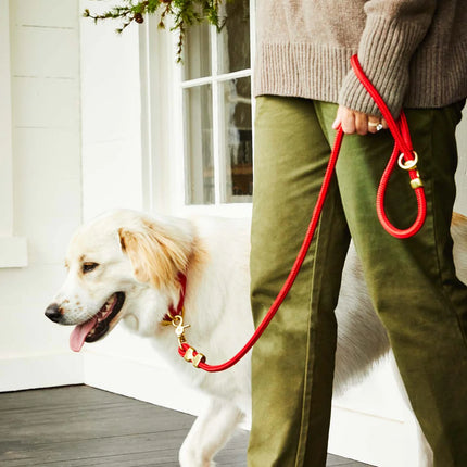 The Foggy Dog Marine Rope Leash - Ruby
