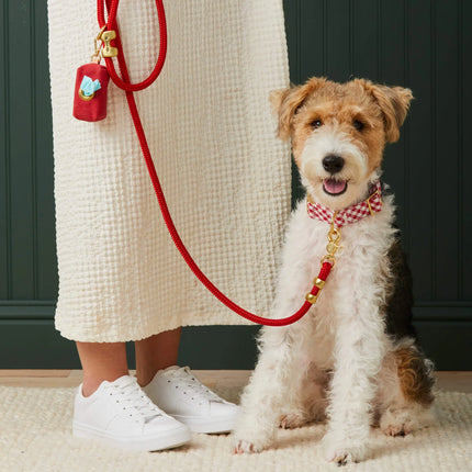 The Foggy Dog Marine Rope Leash - Ruby