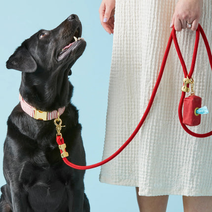 The Foggy Dog Marine Rope Leash - Ruby