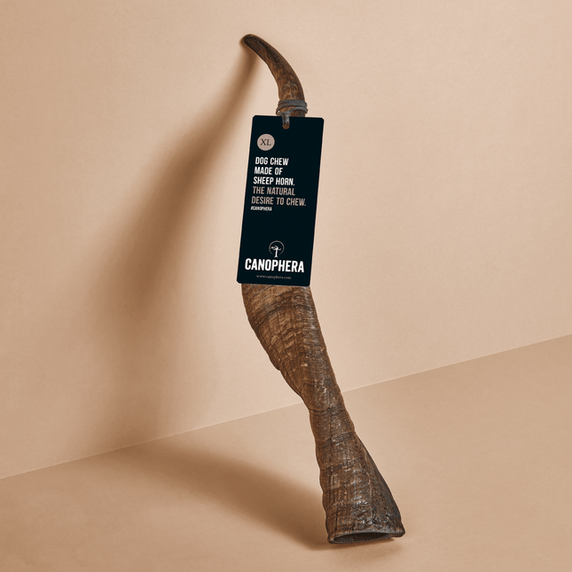 Canophera Sheep Horn Chew