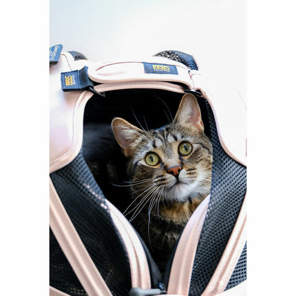 Sleepypod Mobile Pet Bed - Strawberry Red
