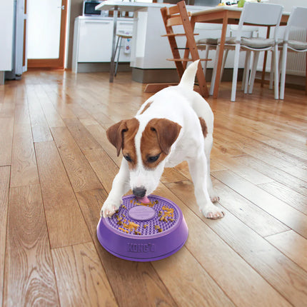 Kong Licks Spinz Feeder Small