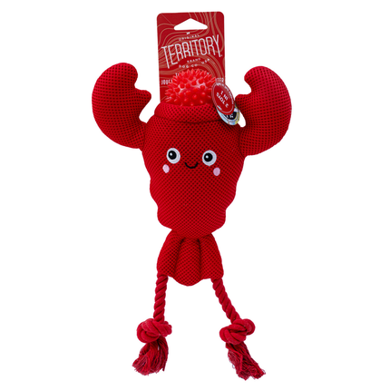 Territory 2 In 1 Lobster Float Toy with Ball