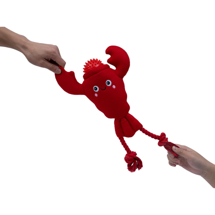 Territory 2 In 1 Lobster Float Toy with Ball