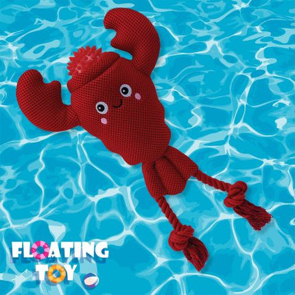 Territory 2 In 1 Lobster Float Toy with Ball