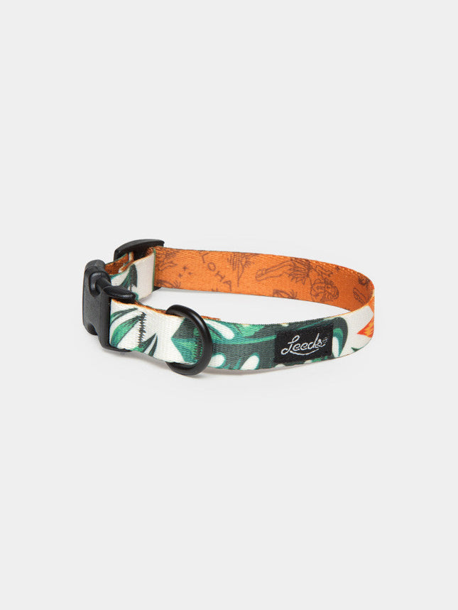 Leeds Dog Collar - Tropicana