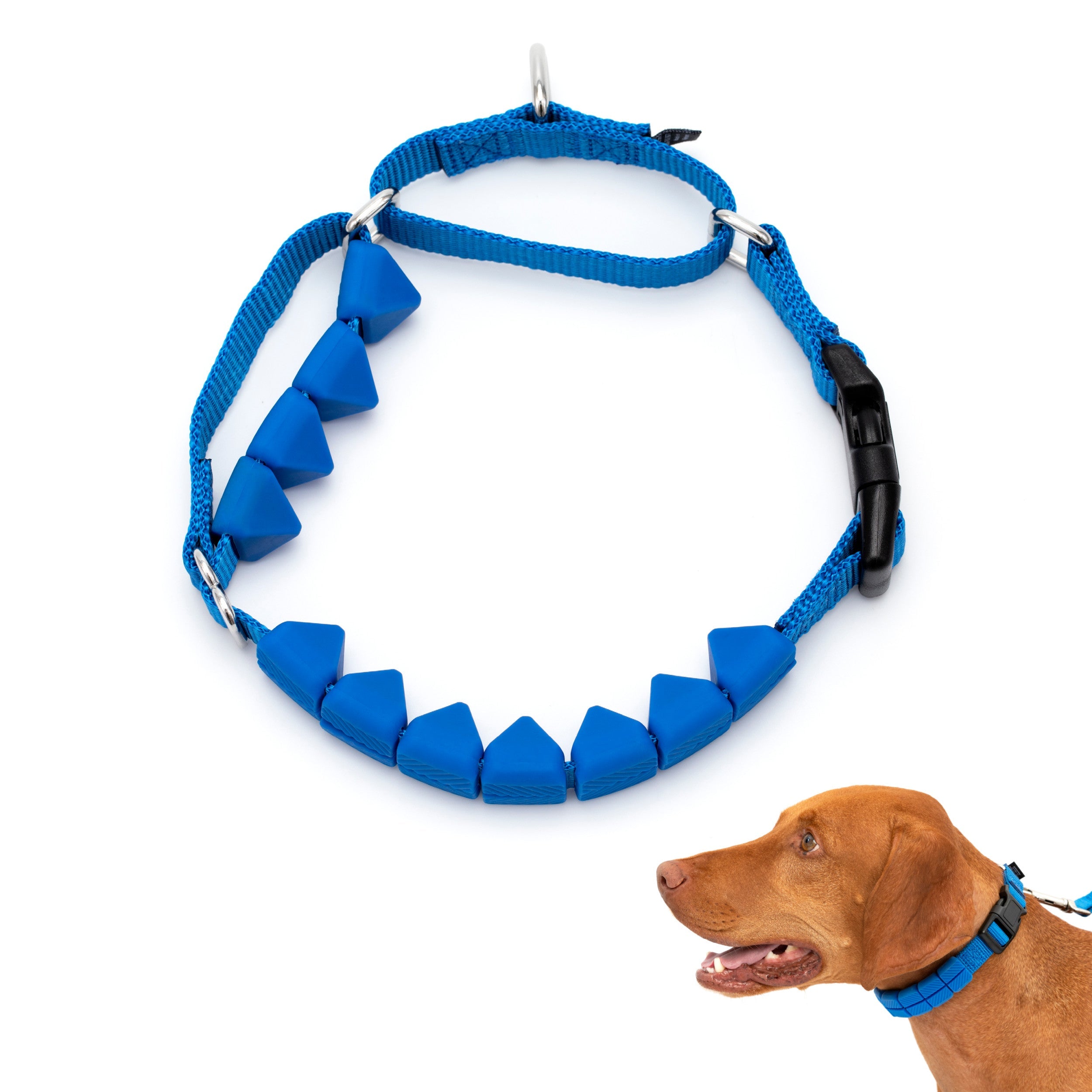 petsafe trainer