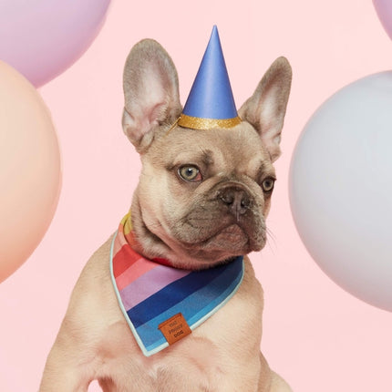 The Foggy Dog Bandana - Over the Rainbow Dog Bandana