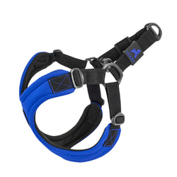 Gooby Escape free sport harness blue