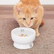 Necoichi Raised Cat Water Bowl