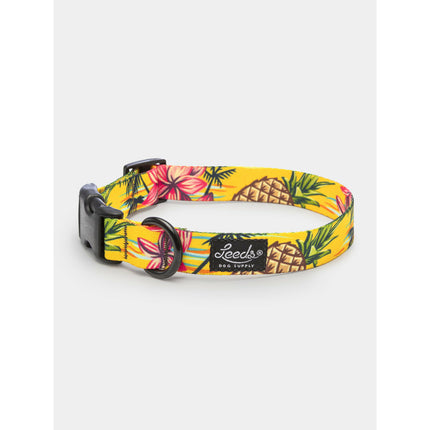 Leeds Dog Collar - Luau