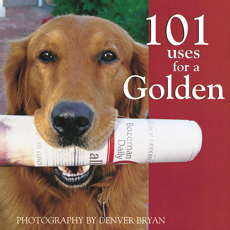 101 Uses For A Golden book