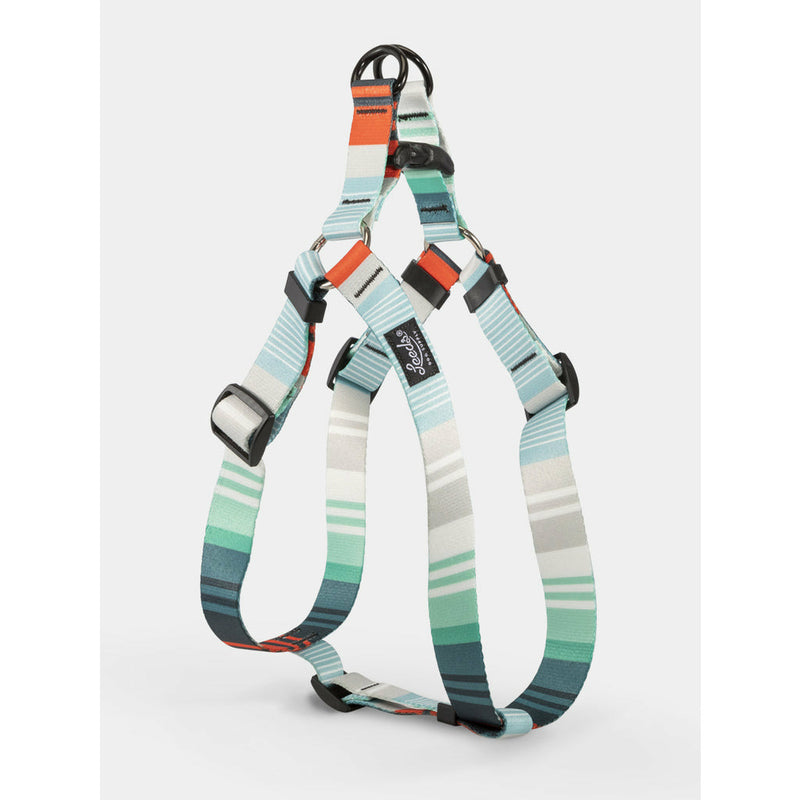 Leeds Dog Harness - Birmingham
