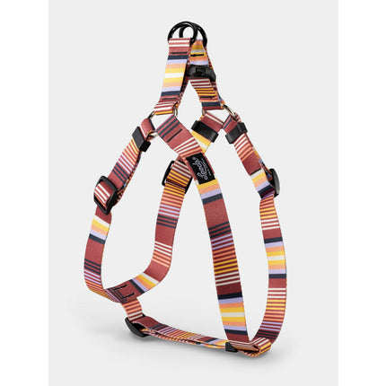 Leeds Dog Harness - Topanga