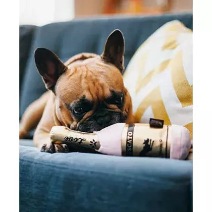 P.L.A.Y Puppy love Muttscato