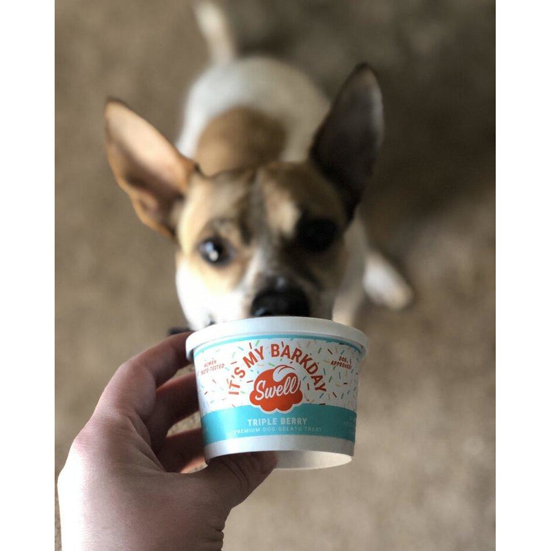 Swell Dog It's my Barkday Triple Berry Gelato 4oz