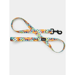 Leeds Dog Leash - Ashbury