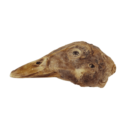 Vital Essentials Duck Heads