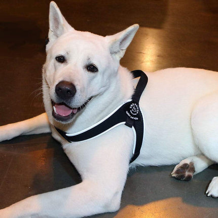 Tre Ponti Brio Harness Black