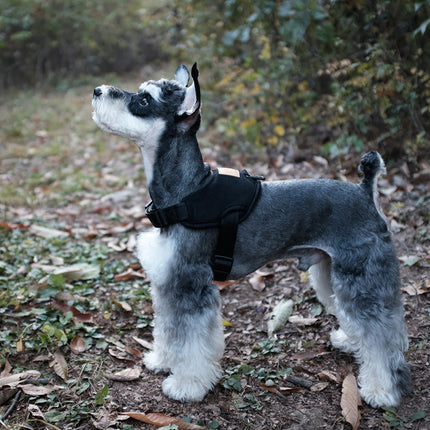 Charlie's Backyard Above Harness Black