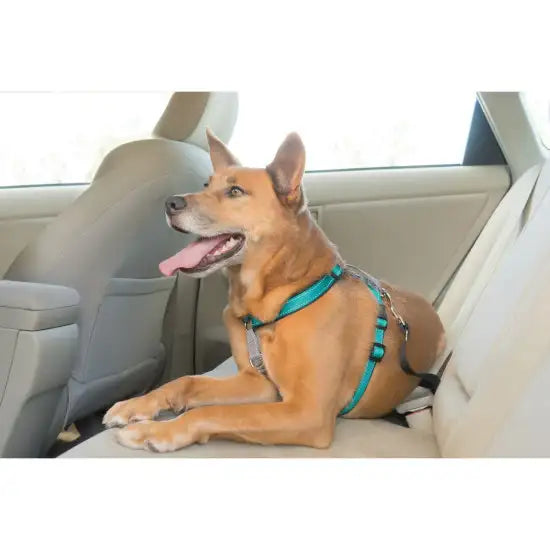 Petsafe Easy Walk 3-in-1 harness - Teal