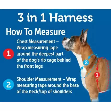 Petsafe Easy Walk 3-in-1 harness - Teal
