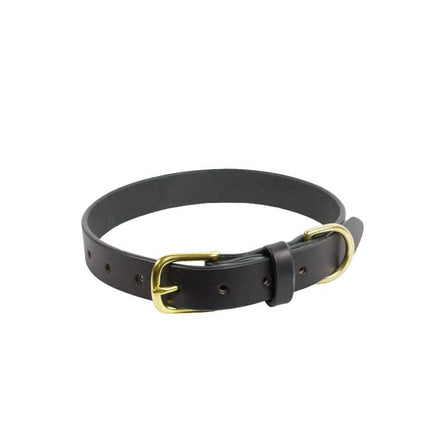 Dante Collar - Black & Brass