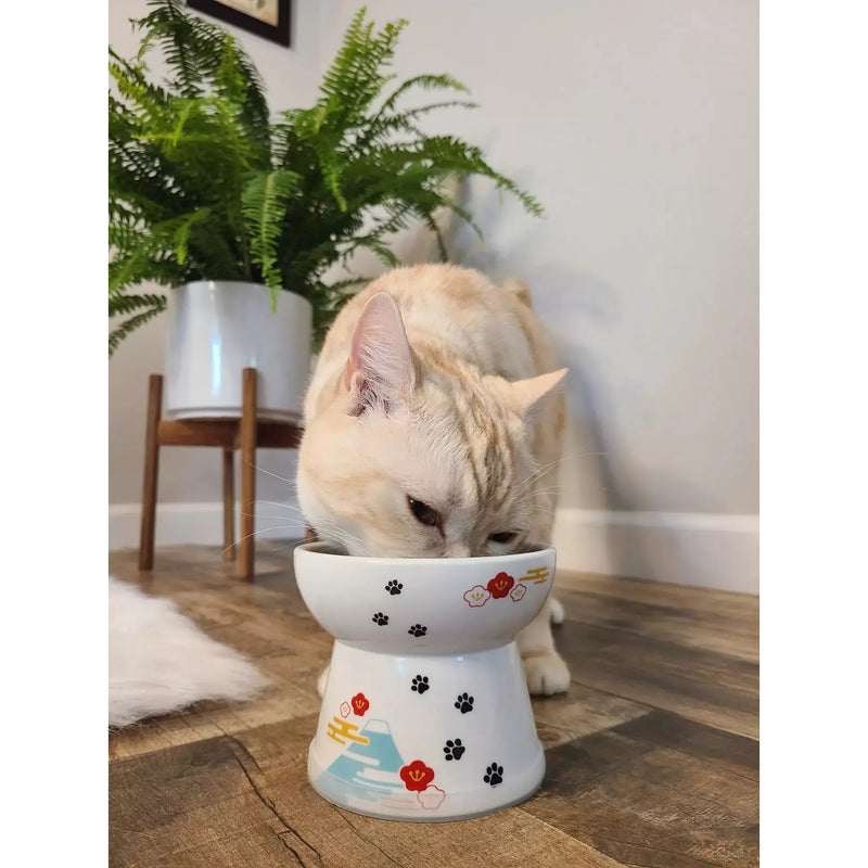 Necoichi Raised Cat Bowl Fuji Decker's Dog + Cat