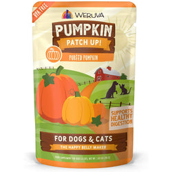 Weruva Pumpkin Patch Up
