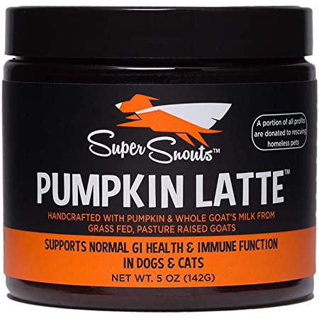 Super Snouts Pumpkin Latte