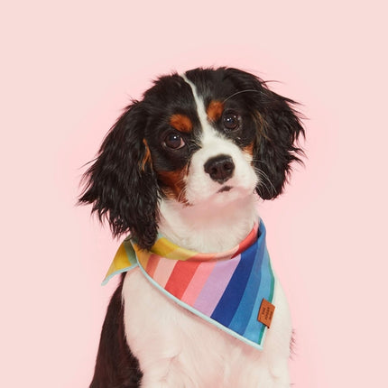 The Foggy Dog Bandana - Over the Rainbow Dog Bandana