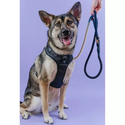 Sassy Woof Rope Leash - Ombre Blue