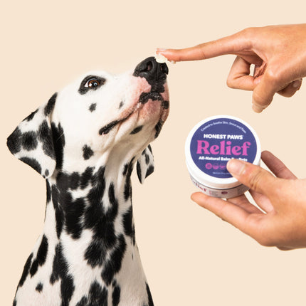 Honest Paws Relief Balm 2oz