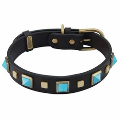 Dosha Dog Rock and Roll Collar Brown Turquoise