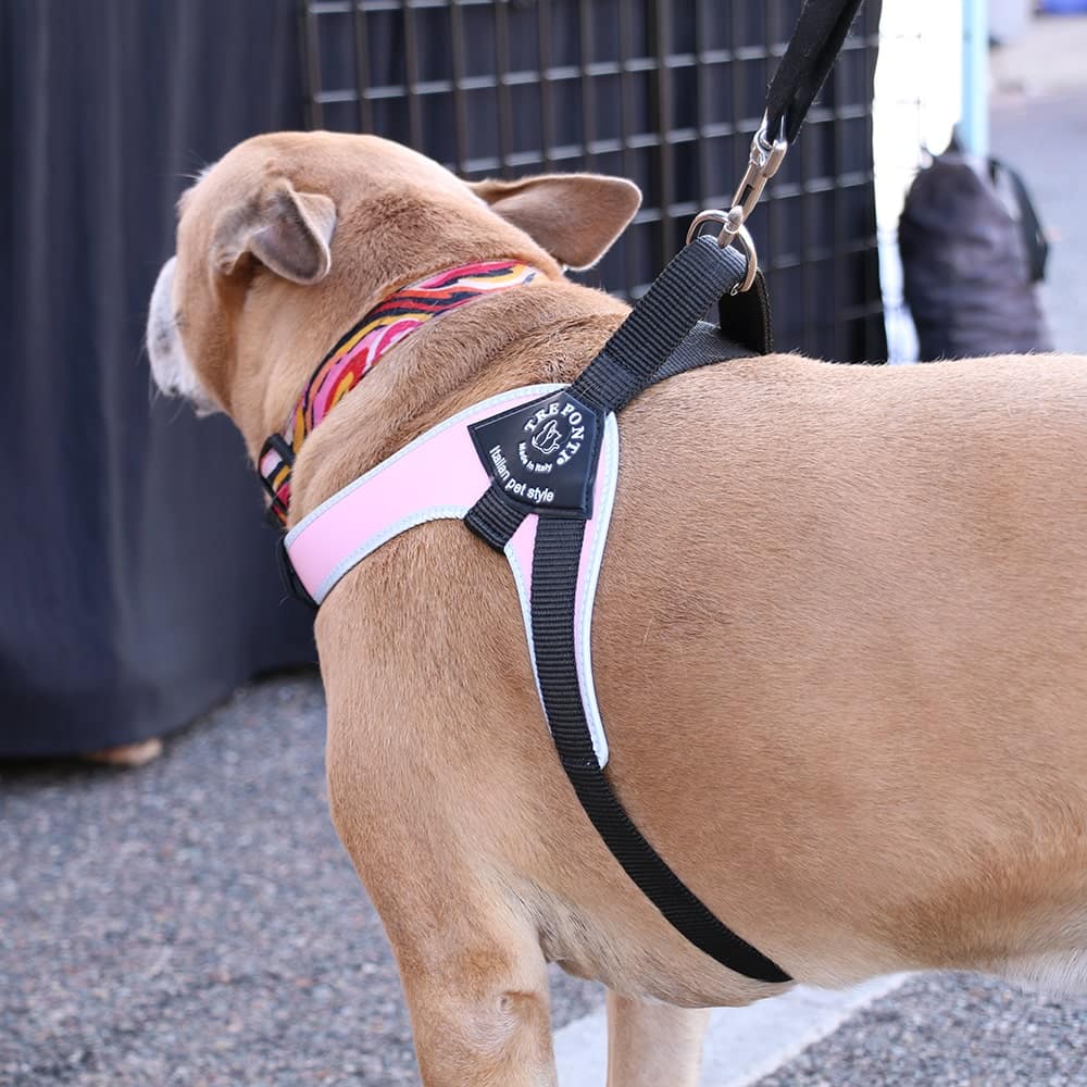 The ponti dog harness hotsell