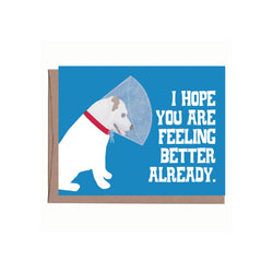 La Familia Green - Dog with Cone Get Well Card