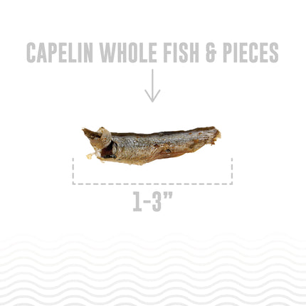 Icelandic Capelin Whole Fish 2.5oz