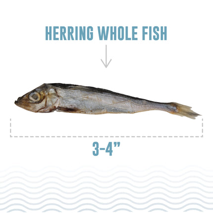 Icelandic Cat Whole Herring Treat 1.5oz