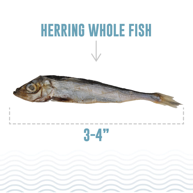 Icelandic Cat Whole Herring Treat 1.5oz